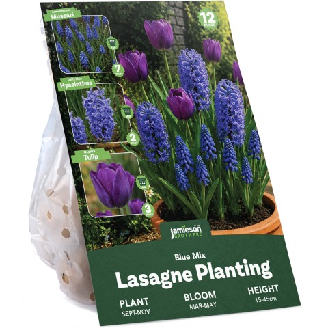 Blue Spring Flowering Lasagne Bulb Planting Kit - Layered Perennial Flower Bulbs for Garden Pots & Containers, Mixed Tulips, Muscari & Hyacinths – by Jamieson Brothers