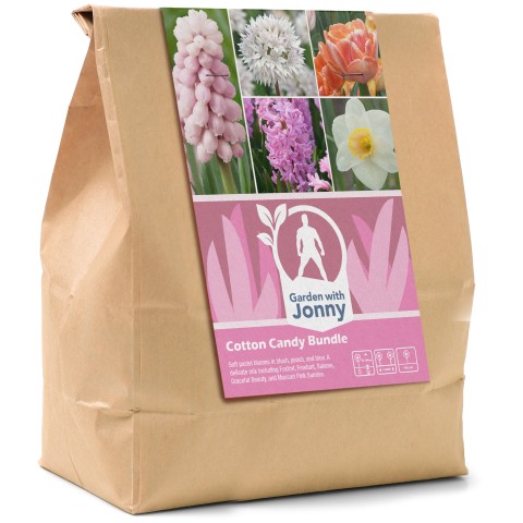 Cotton Candy Bundle - Autumn Planting Flower Bulbs