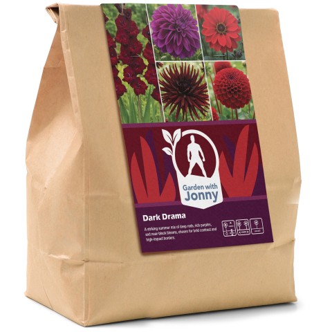 Garden with Jonny Dark Drama Bundle (Dahlia Bishop of Llandaff, Dahlia Thomas Edison, Dahlia Nuit d’Été, Dahlia Decorative Viking, and Gladiolus Black Surprise)