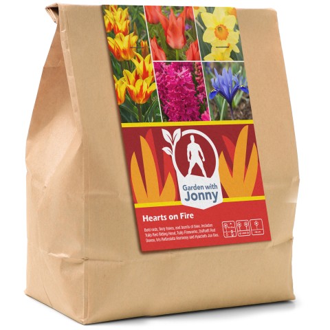 Hearts on Fire - Autumn Planting Flower Bulbs