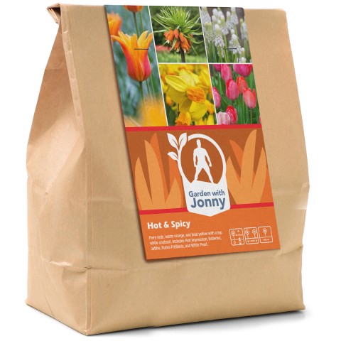 Hot & Spicy - Autumn Planting Flower Bulbs
