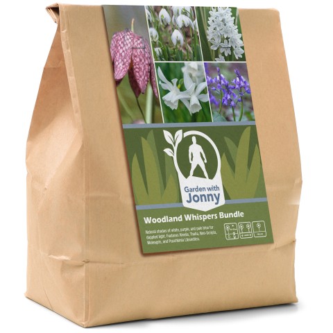 Woodland Whispers Bundle - Autumn Planting Flower Bulbs