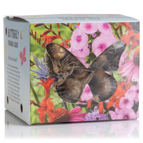 Butterfly Perennial Box (Phlox Paniculata, Eryngium Planum, Echinacea Purpurea, Crocosmia X Crocosmiiflora, Liatris Spicata) 50x Spring Planting Flower Bulbs| Flower Bulbs for Planting Now UK | Plant Garden Outdoor | Attracts Butterflies & Pollinators