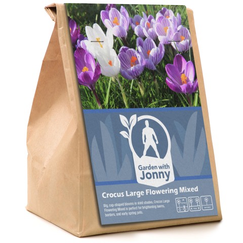 Garden With Jonny Crocus Large Flowering Mixed