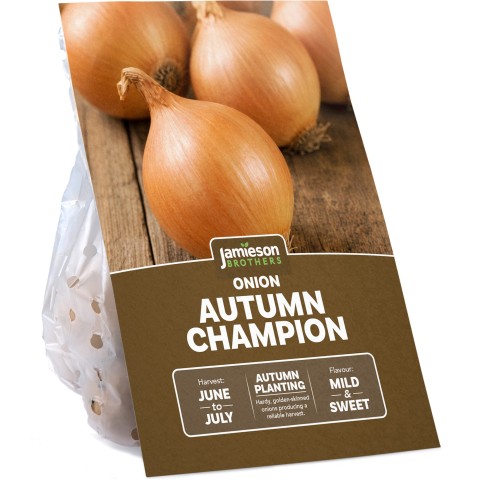 Autumn Champion Onion 250g Autumn Planting Onion Sets