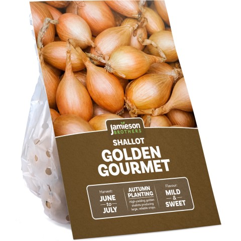 Golden Gourmet Shallot 250g Autumn Planting Shallot Sets