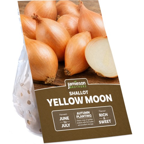 Yellow Moon Shallot 250g Autumn Planting Shallot Sets