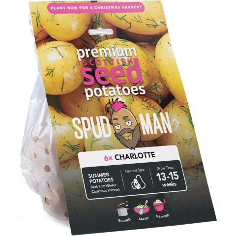 SpudMan 6 Pack Charlotte Summer Planting Seed Potatoes, Grows Approx. 60 Boiling Potatoes