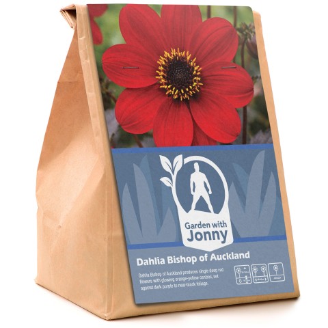 Dahlia Bishop of Auckland