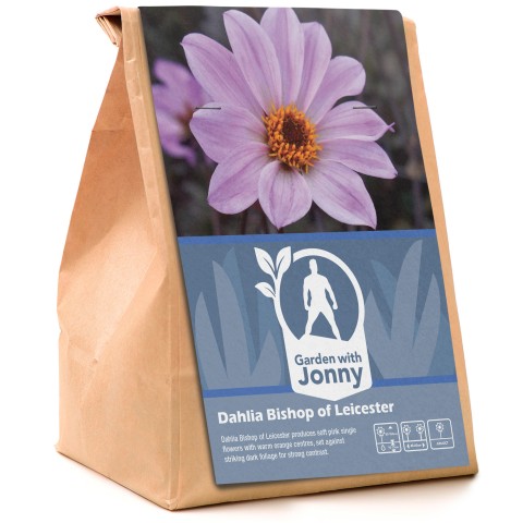 Dahlia Bishop of Leicester