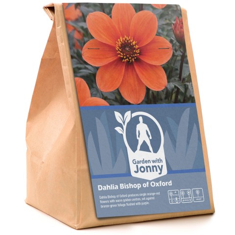 Dahlia Bishop of Oxford