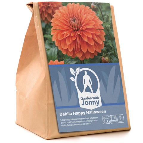 Dahlia Happy Halloween (1 Bulb)