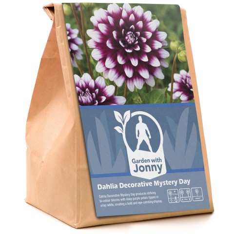 Dahlia Decorative Mystery Day (1 Bulb)