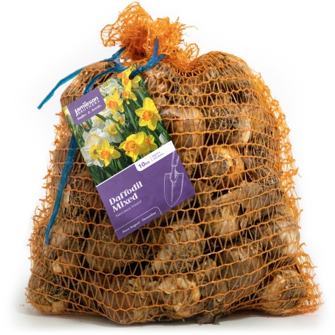 Jamieson Brothers 10kg Daffodils - Yellow Trumpet Daffodils 5kg and Mixed Daffodils 5kg