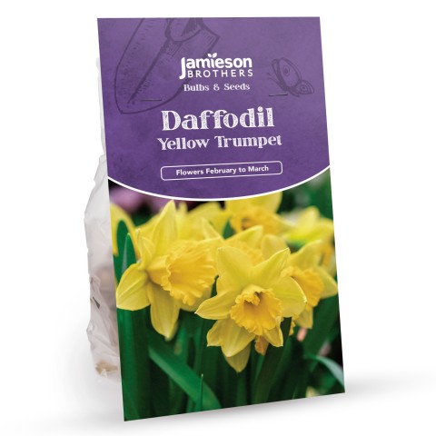 Yellow Trumpet Daffodil Bulbs (30 bulbs)