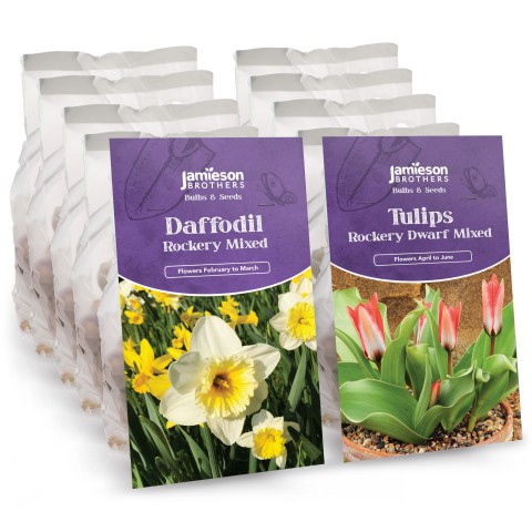 Dwarf Daffodil and Tulip Bulbs - Rockery Mixed (180 bulbs)