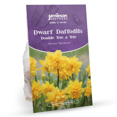 Double Tete a Tete Daffodil Bulbs (16 bulbs) - Dwarf Daffodils by Jamieson Brothers