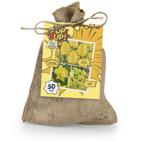 The Yellow Bag (50 Bulbs) Tulipa Novi Sun, Narcissus Dutch Master & Allium Moly, Ready for Planting Now in UK Autumn Outdoor Gardens