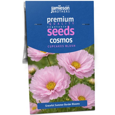 Cosmos Cupcakes Blush – 1g Unique Petal Cosmos Flower Seeds