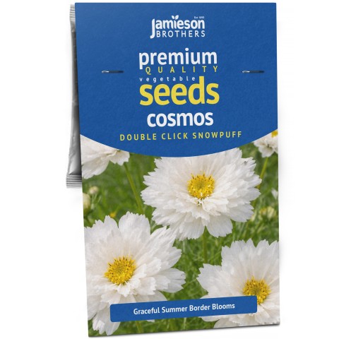 Cosmos Double Click Snowpuff – 1g Double White Cosmos Seeds