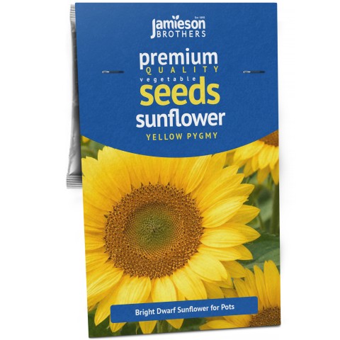 Sunflower Yellow Pygmy Flower Seeds (Approx. 20 seeds) by Jamieson Brothers