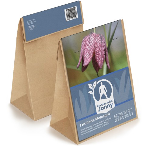 Fritillaria Meleagris