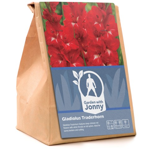 Gladiolus Traderhorn (10 Bulbs)