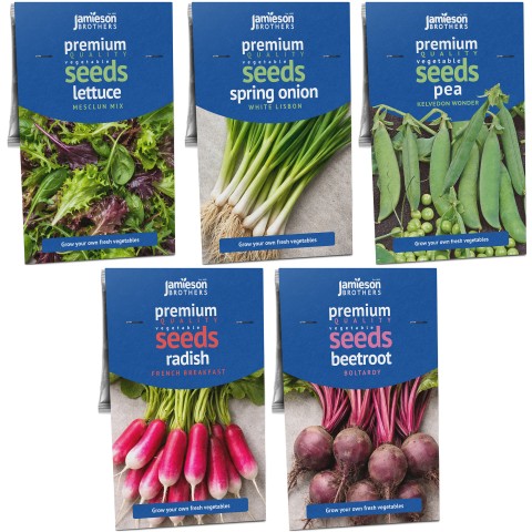 Jamieson Brothers Grow Your Own Starter Garden Bundle 5 Pack Easy Vegetable Seed Collection (Lettuce Mesclun Mix, Spring Onion White Lisbon, Pea Kelvedon Wonder, Radish French Breakfast, Beetroot Boltardy)