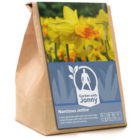 Garden with Jonny Narcissus Jetfire 10 Bulbs
