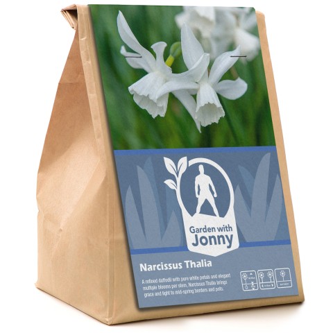 Garden with Jonny Narcissus Thalia 10 Bulbs