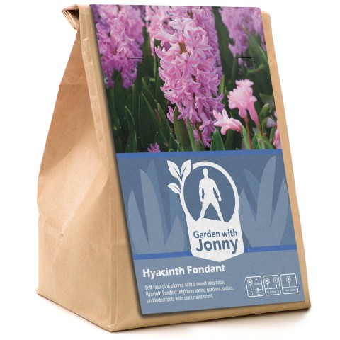 Garden with Jonny Hyacinth Fondant 10 Bulbs