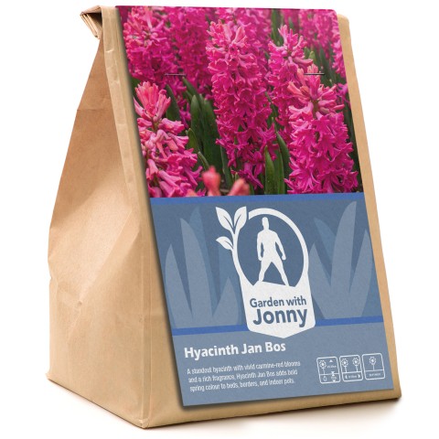 Garden with Jonny Hyacinth Jan Bos 10 Bulbs
