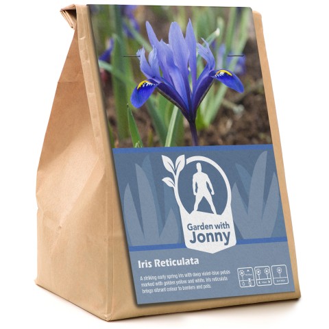 Garden with Jonny Iris Reticulata 20 Bulbs
