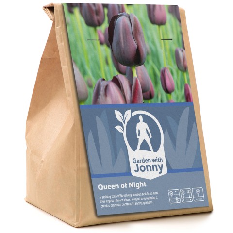 Garden with Jonny Tulip Queen of Night 12 Bulbs