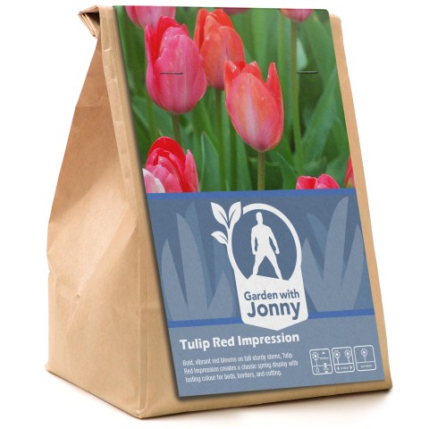 Garden with Jonny Tulip Red Impression 10 Bulbs