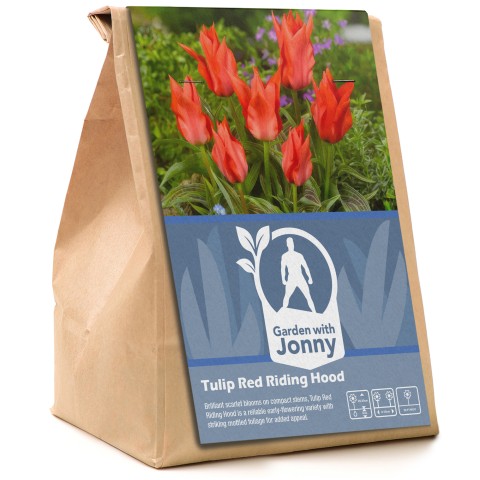 Garden with Jonny Tulip Red Riding Hood 10 Bulbs