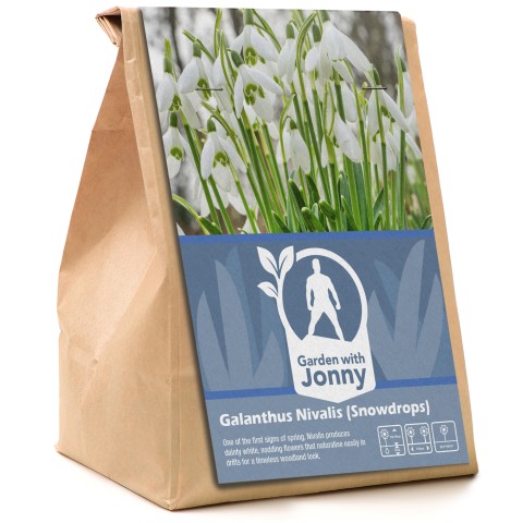 Garden with Jonny Galanthus Nivalis 16 Bulbs