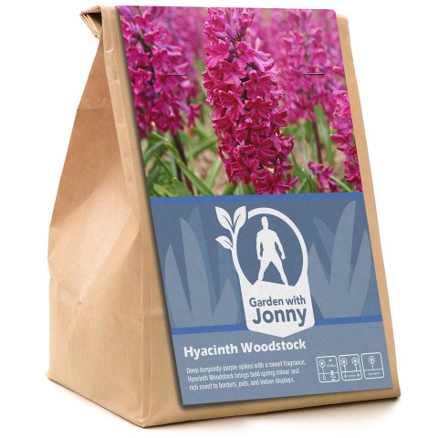 Garden with Jonny Hyacinth Woodstock 5 Bulbs