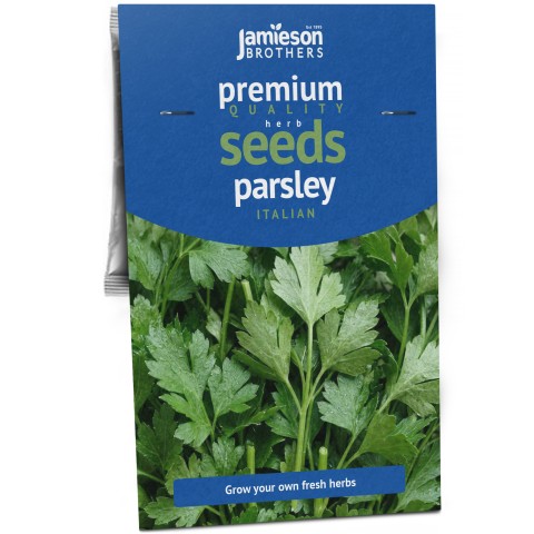 Parsley Flat Italian Herb Seeds (2 grams) by Jamieson Brothers