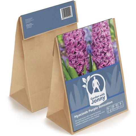 Hyacinth Purple Sensation
