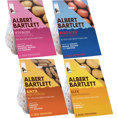 Albert Bartlett 20-Tuber Seed Potato Bundle: Anya, Elfe, Rooster & Vivaldi