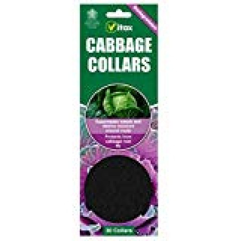 Vitax Cabbage Collars by Vitax
