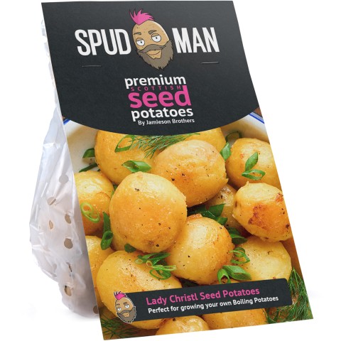 SpudMan Lady Christl Seed Potatoes (Grow Boiling Potatoes)