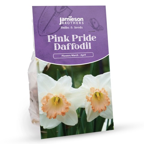 Pink Pride Daffodil Bulbs (25 bulbs) by Jamieson Brothers® 