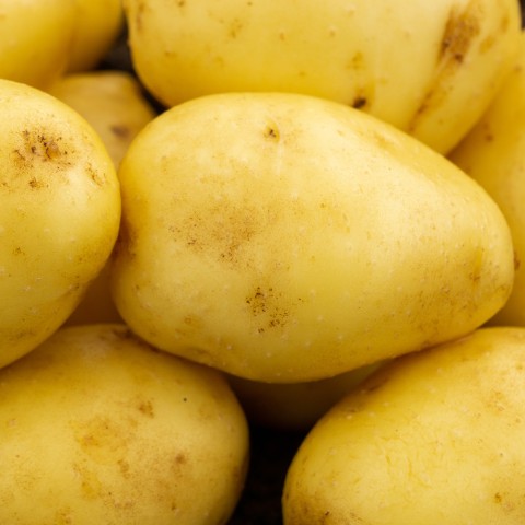 Lady Christl 2kg (Approx. 20-25) Seed Potatoes, Ideal for Salads, Grows Approx. 200 Salad Potatoes