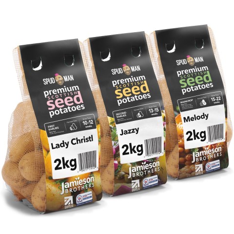 SpudMan 6kg Seed Potato Bundle (Lady Christl, Jazzy & Melody) Easy to Grow & High Yielding Varieties Perfect for All Uses