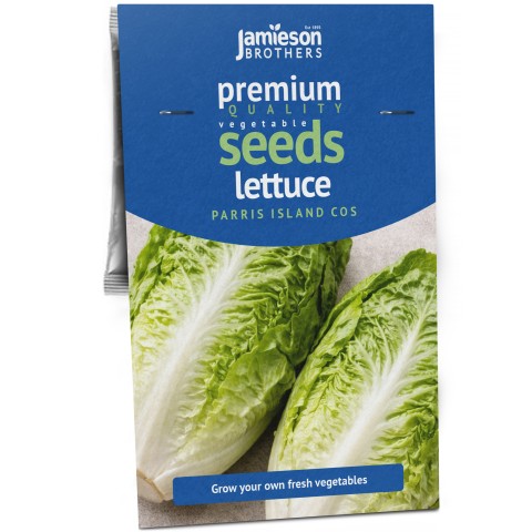 Lettuce Romance Paris Island Cos – 2g Classic Cos Lettuce Seeds for Crisp Hearts