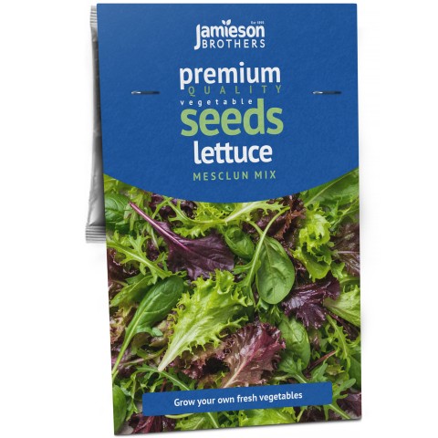 Lettuce Mixed Leaf Mesclun Mix &ndash; 1g Mixed Salad Leaf Seeds for Cut-and-Come-Again Harvests