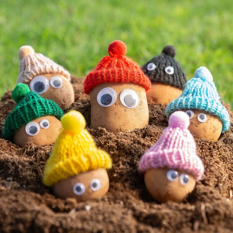 Potato Personality Kit with Tiny Woolly Hat - Random Colour Selection - Frost Protection for Your Potato