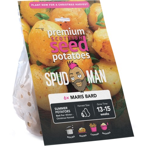 SpudMan 6 Maris Bard Summer Planting Seed Potatoes, Grows Approx. 30 Boiling Potatoes